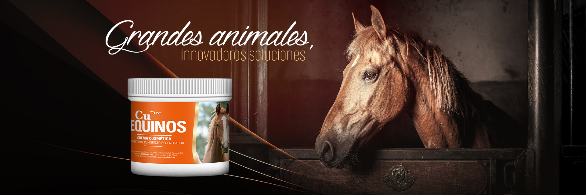 cuderm cutec crema cobre chile cuequinos caballo cuderm cutec crema cobre chile cuequinos caballo